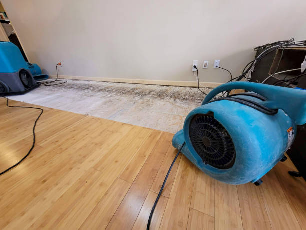 Professional Sewage Cleanup technician working in Reston, VA